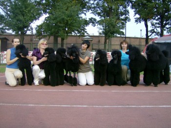 dogs from the left:BAGGIO,BASSIANA,AZAZELLO,BROCCA,ALLEGRETTA,SAMANTA,ABADONNA,BIRINO